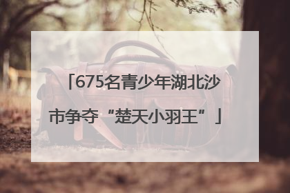 675名青少年湖北沙市争夺“楚天小羽王”