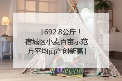 692.8公斤！宿城区小麦百亩示范方平均亩产创新高