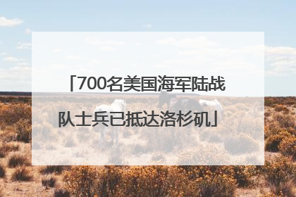 700名美国海军陆战队士兵已抵达洛杉矶