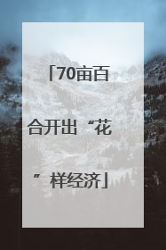 70亩百合开出“花”样经济