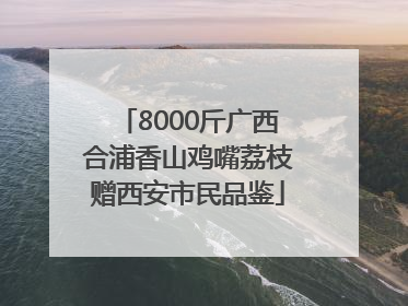 8000斤广西合浦香山鸡嘴荔枝赠西安市民品鉴