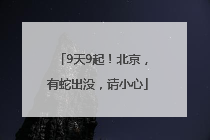 9天9起！北京，有蛇出没，请小心