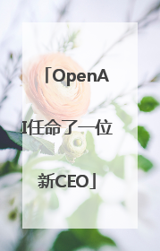 OpenAI任命了一位新CEO