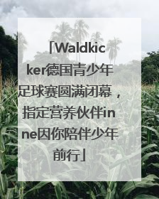 Waldkicker德国青少年足球赛圆满闭幕，指定营养伙伴inne因你陪伴少年前行